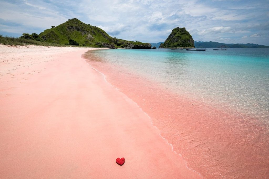 komodo boat trip - pink beach