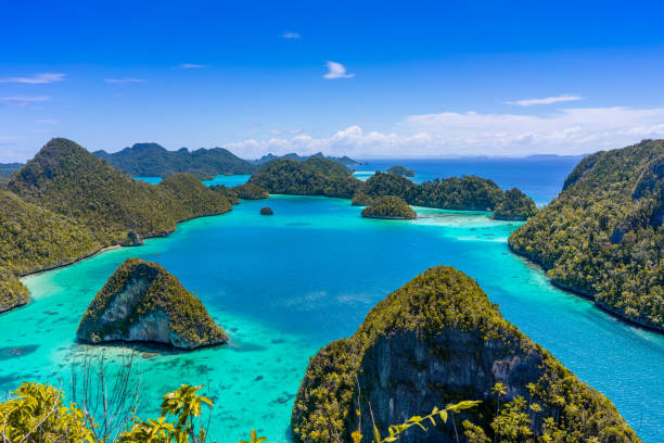 Arrange Your Raja Ampat Trip and Explore Marine Tourism 