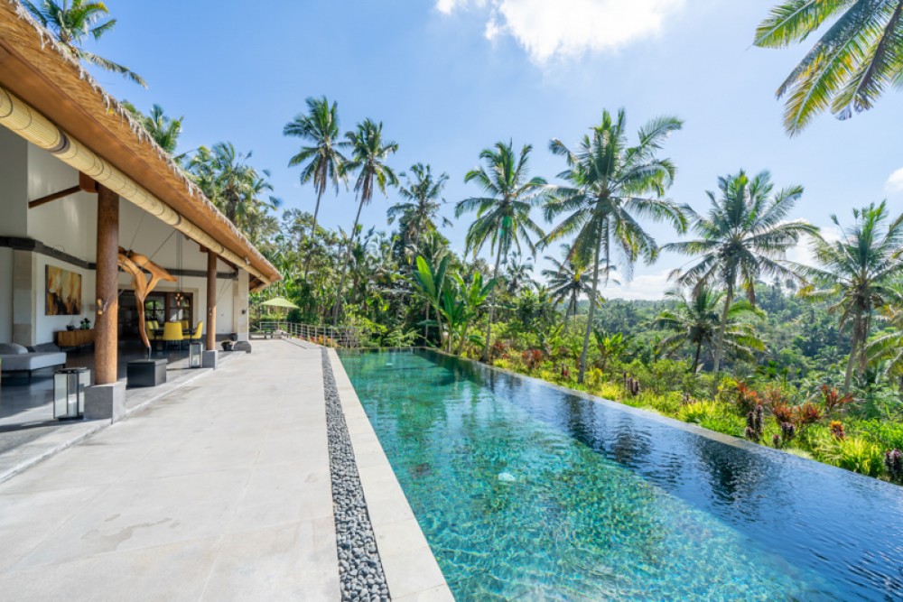 Luxurious Joglo Villa with Infinity Pool and Jungle View 1